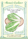 Baby Napa Cabbage - Little Jade