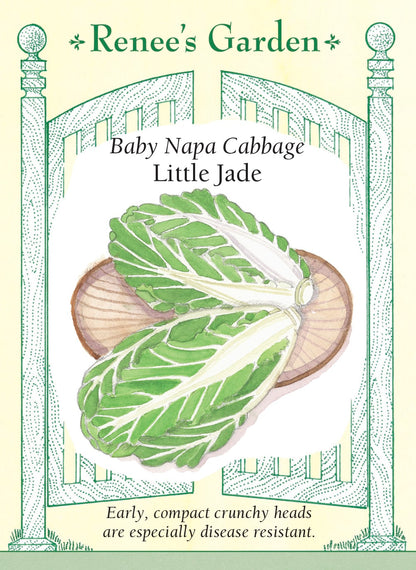 Baby Napa Cabbage - Little Jade