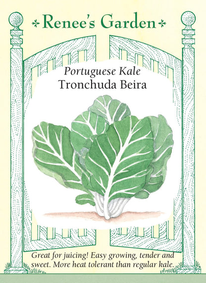 Portuguese Kale - Tronchuda Beira
