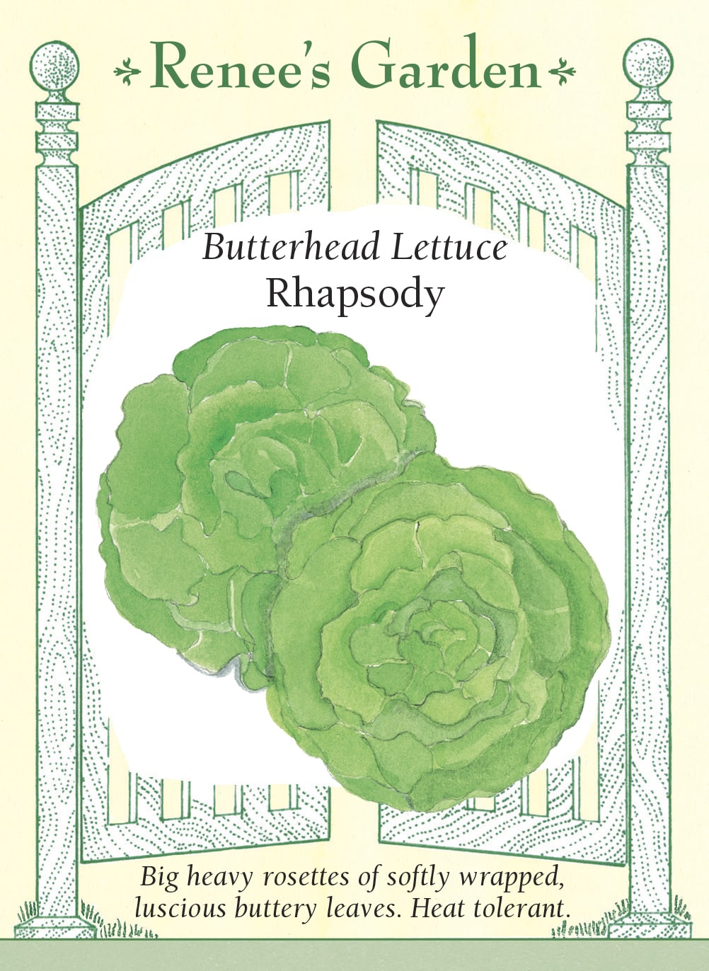 Butterhead Lettuce - Rhapsody