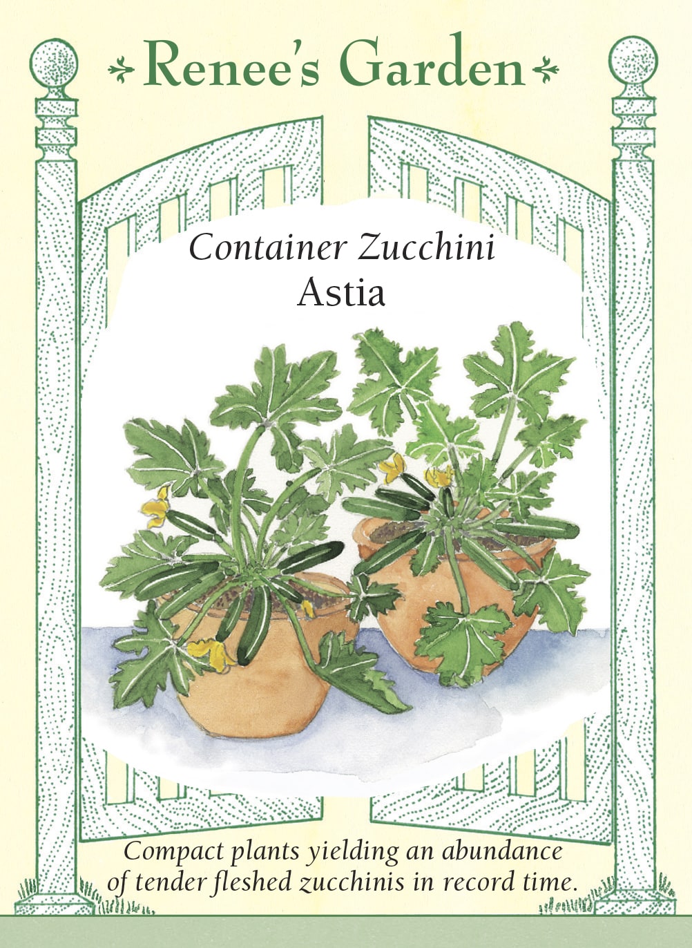 Hand-Picked Seed Bundle - Container Veggies