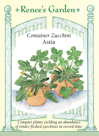 Hand-Picked Seed Bundle - Container Veggies