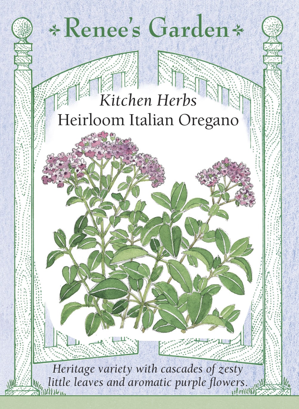 Kitchen Herbs - Heirloom Italian Oregano