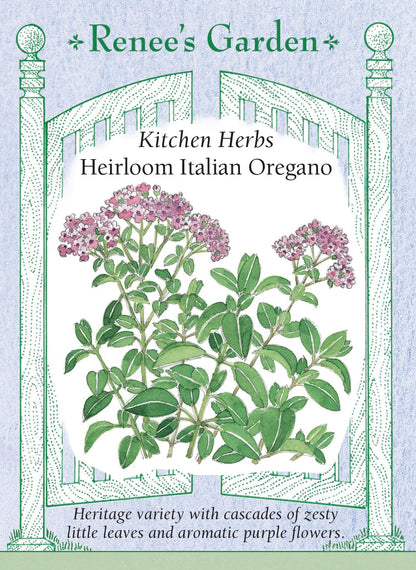 Kitchen Herbs - Heirloom Italian Oregano
