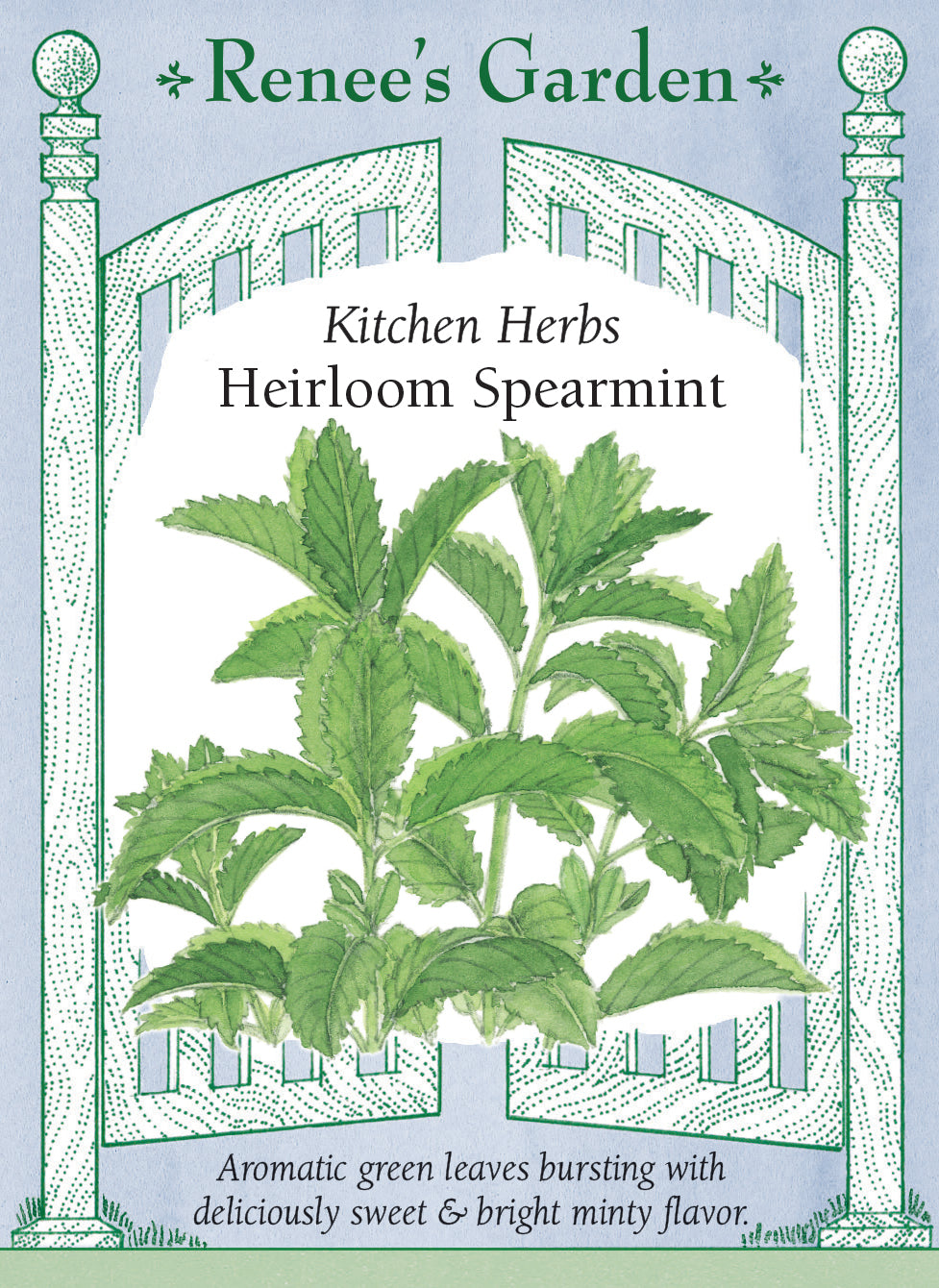 Hand-Picked Seed Bundle - Tea Garden