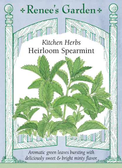 Hand-Picked Seed Bundle - Tea Garden