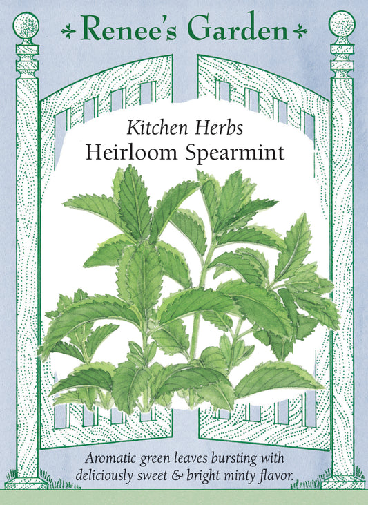 Kitchen Herbs - Heirloom Spearmint