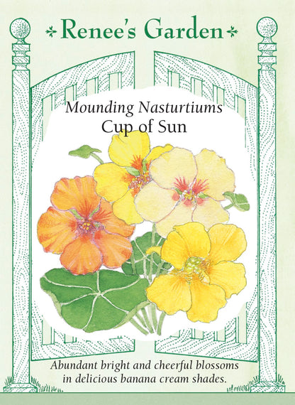 Mounding Nasturtiums - Cup of Sun