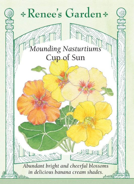 Mounding Nasturtiums - Cup of Sun
