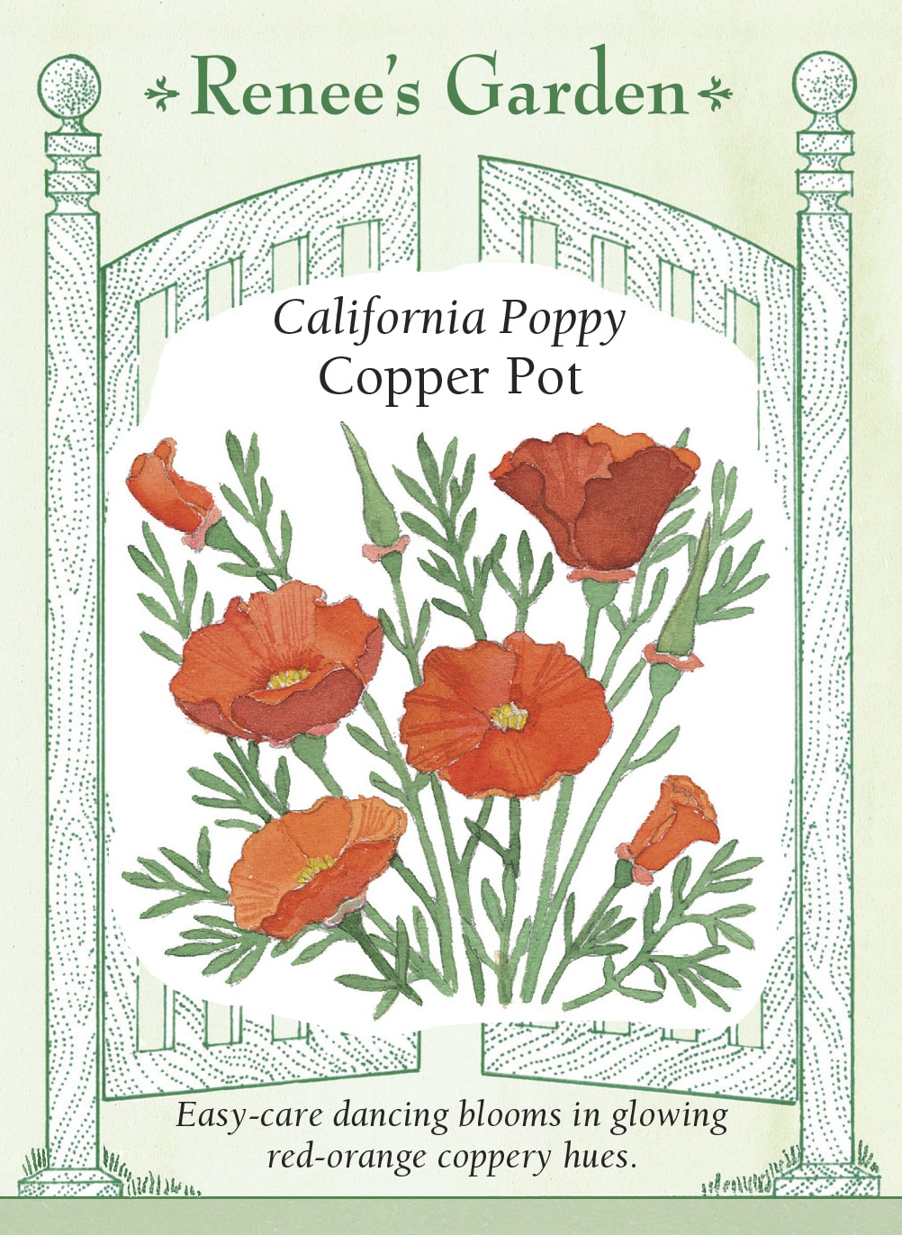 California Poppies - Copper Pot