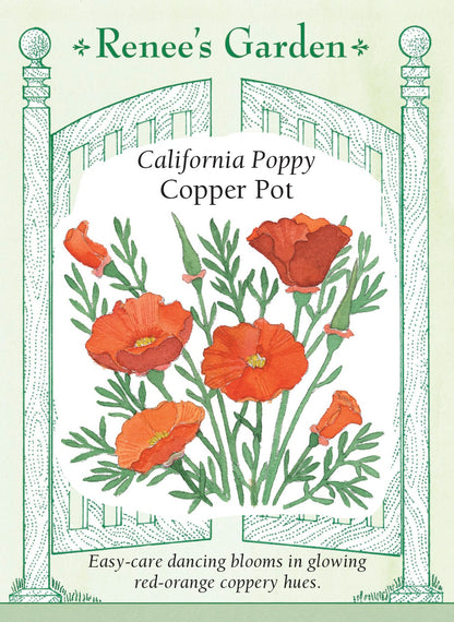 California Poppies - Copper Pot