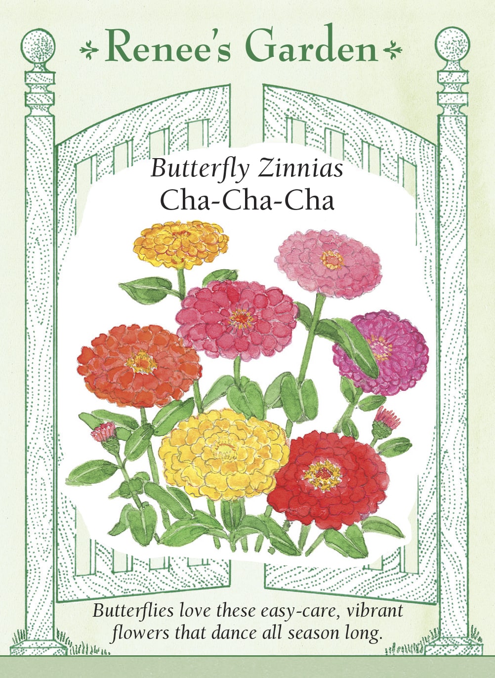 Butterfly Zinnias - Cha-Cha-Cha