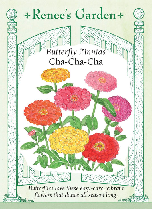 Butterfly Zinnias - Cha-Cha-Cha