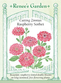 Cutting Zinnias - Raspberry Sorbet