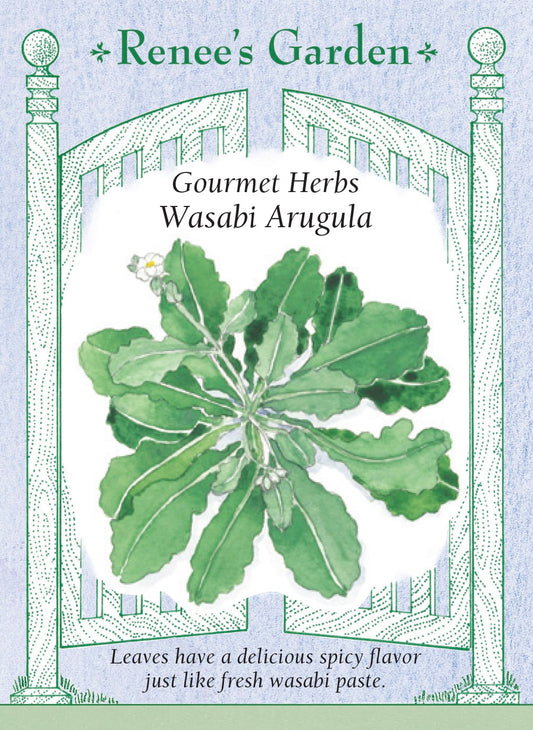 Gourmet Herbs - Wasabi Arugula
