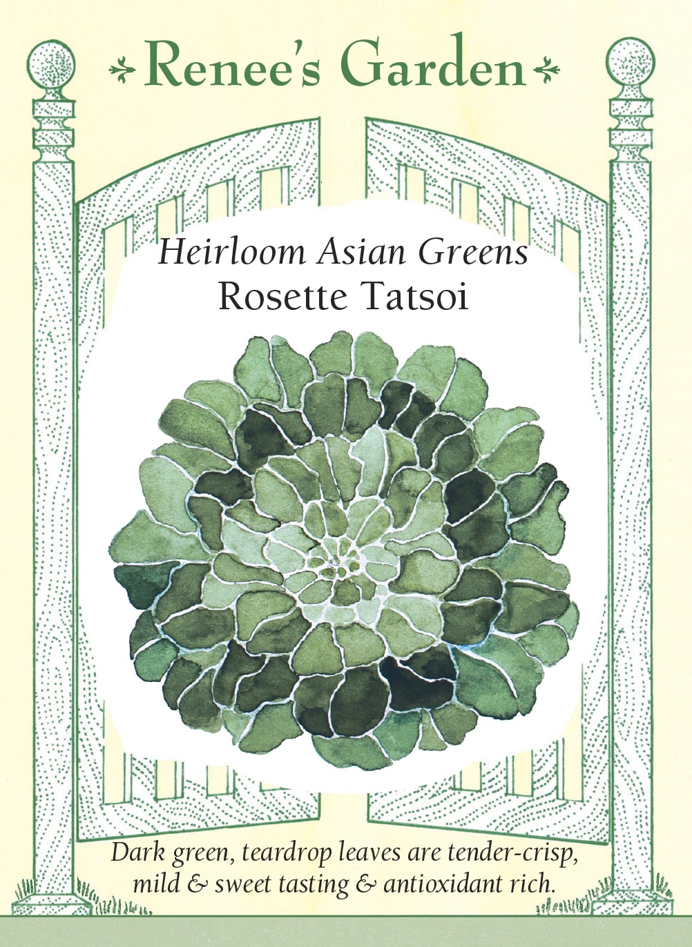 Heirloom Asian Greens - Rosette Tatsoi