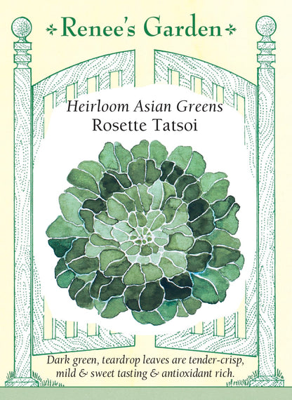 Heirloom Asian Greens - Rosette Tatsoi