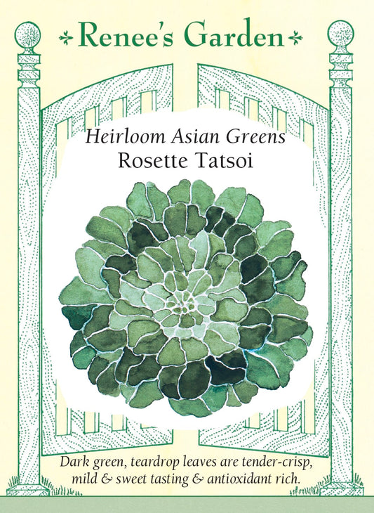 Heirloom Asian Greens - Rosette Tatsoi