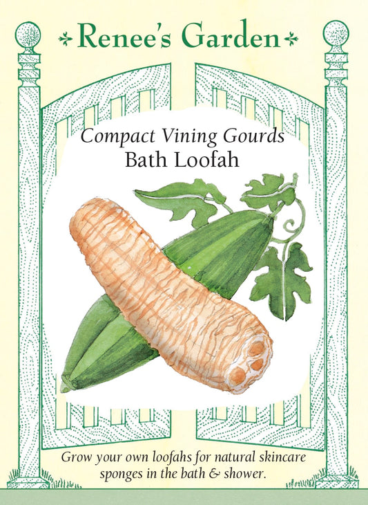 Compact Vining Gourds - Bath Loofah