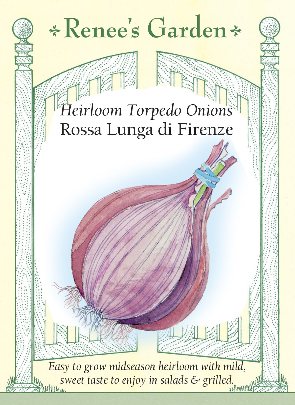 Heirloom Torpedo Onions - Rossa Lunga di Firenze