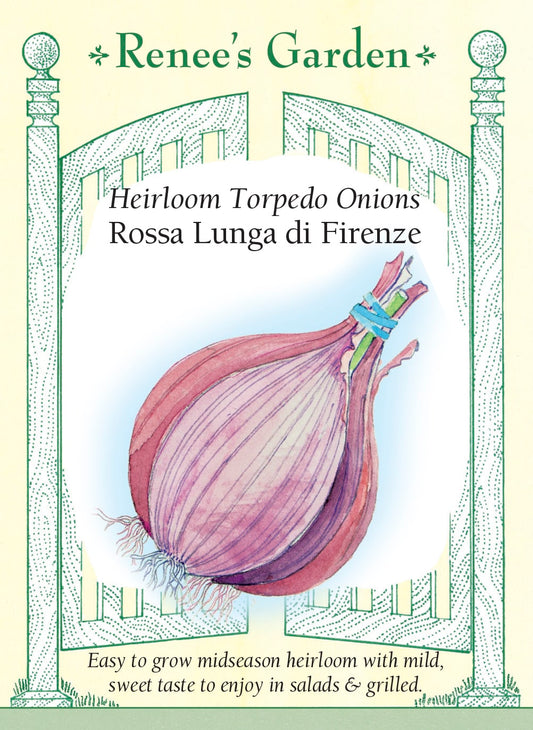 Heirloom Torpedo Onions - Rossa Lunga di Firenze