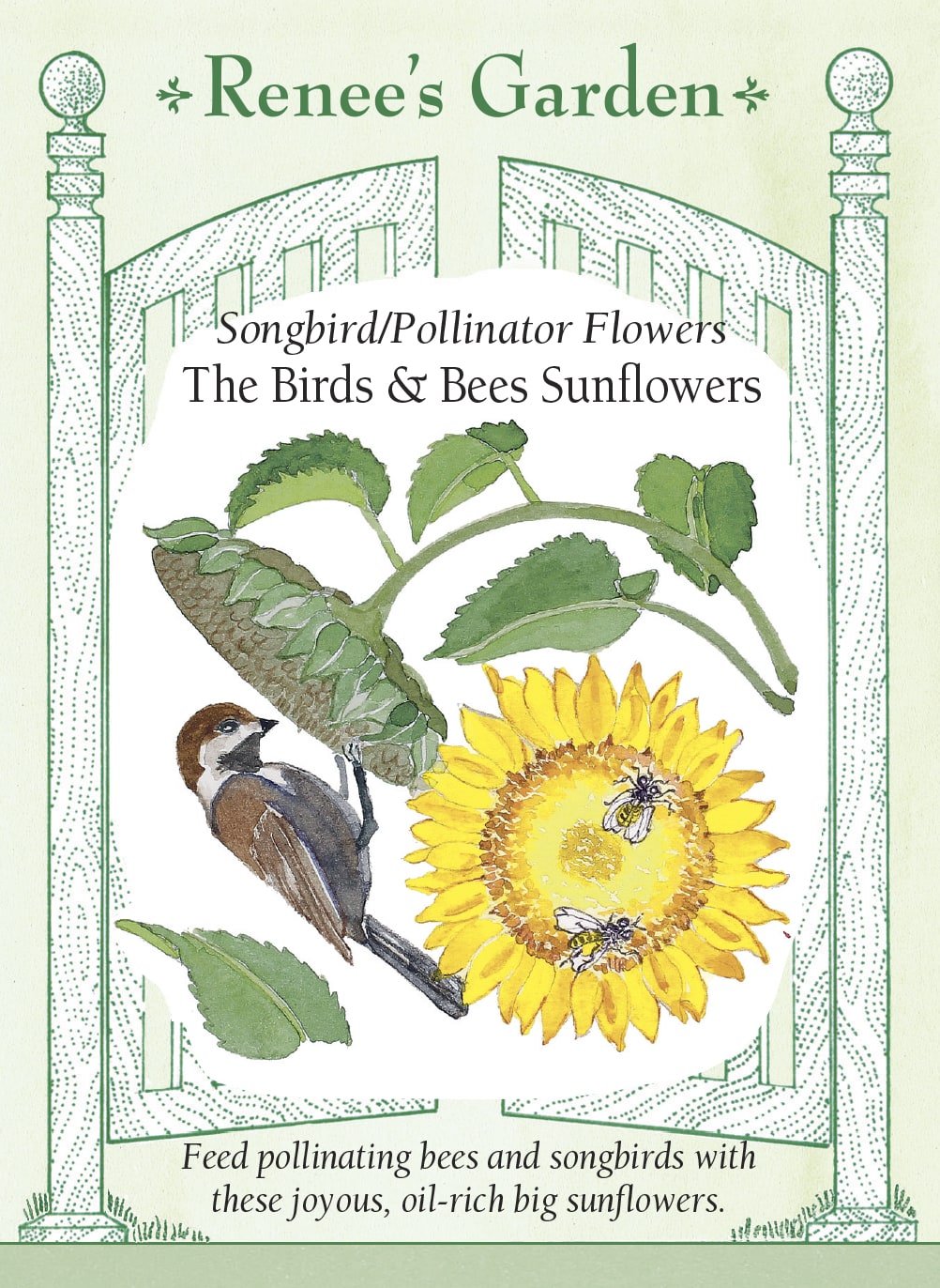 Songbird/Pollinator Flowers - The Birds & Bees Sunflowers