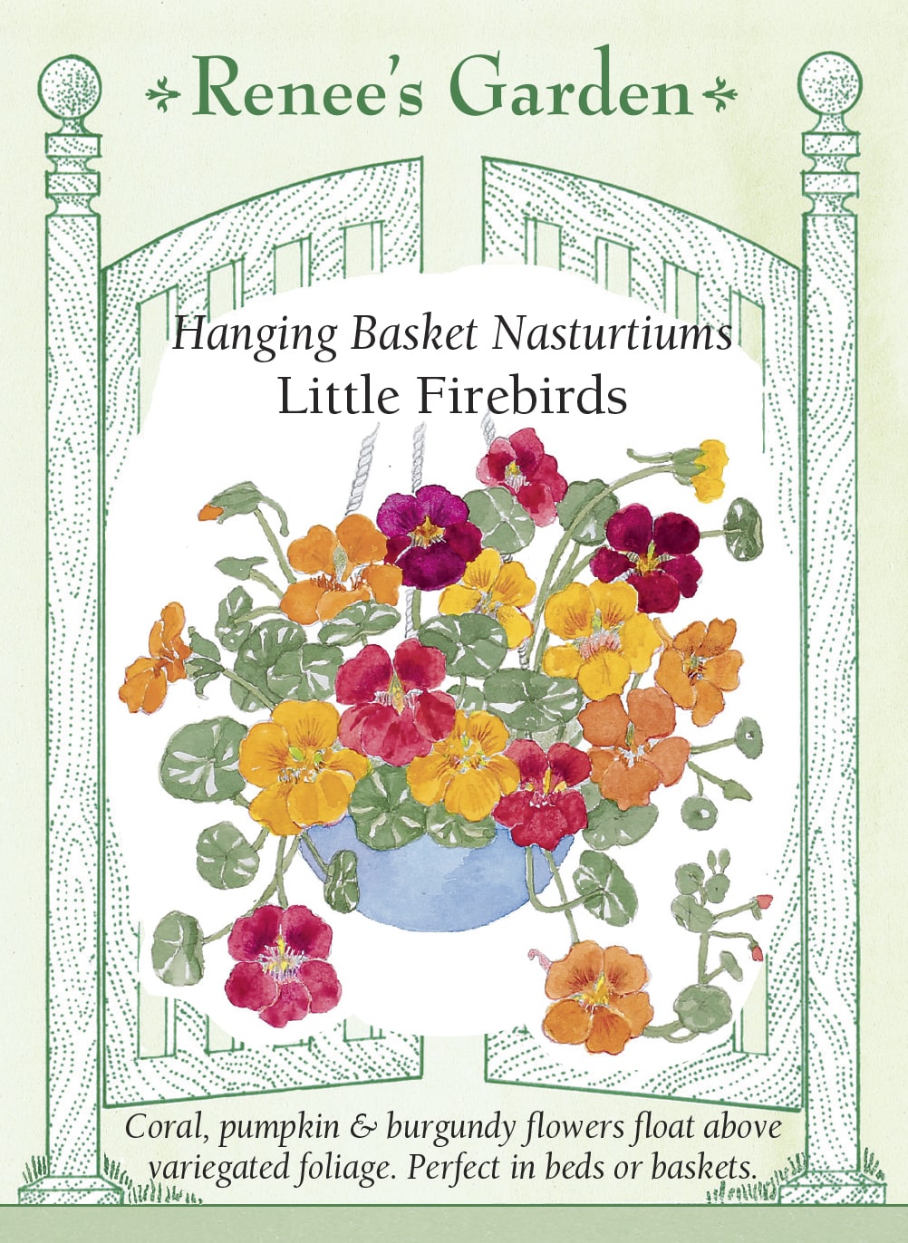Hand-Picked Seed Bundle - Container Flowers