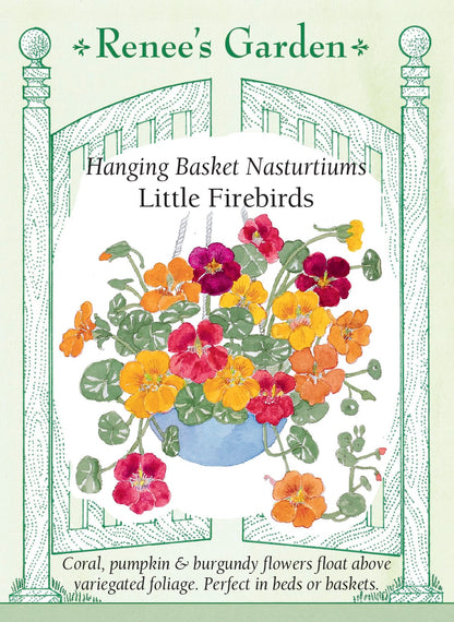 Hand-Picked Seed Bundle - Container Flowers