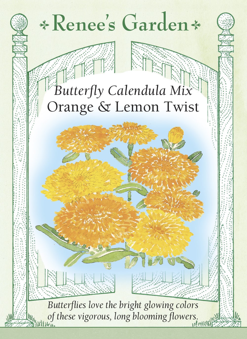 Hand-Picked Seed Bundle - Early Spring Flowers