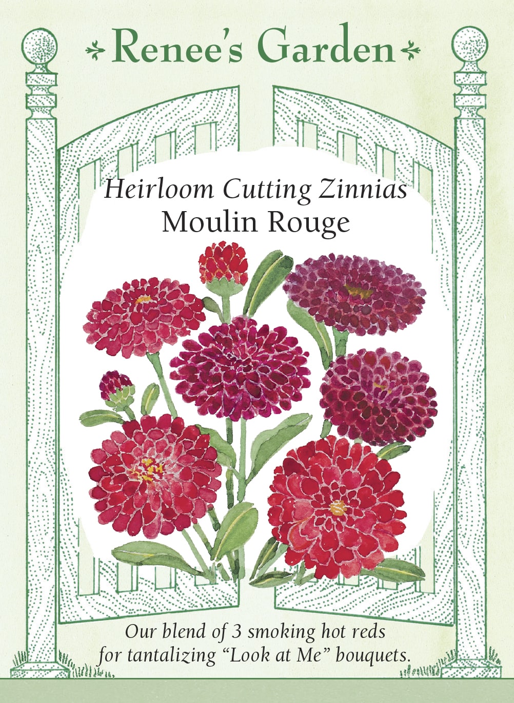 Heirloom Cutting Zinnias - Moulin Rouge