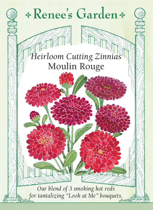 Heirloom Cutting Zinnias - Moulin Rouge
