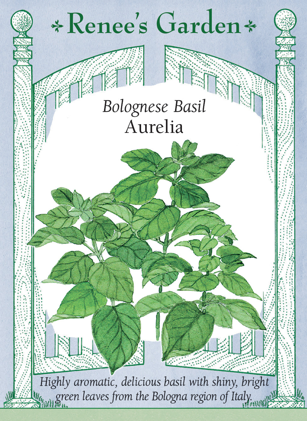Bolognese Basil - Aurelia
