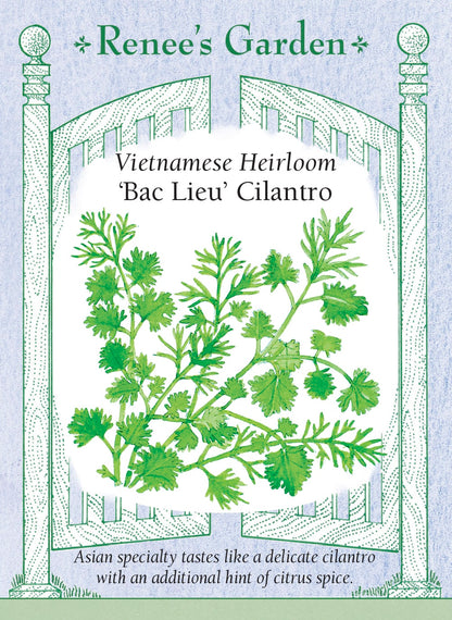 Vietnamese Heirloom - Bac Lieu Cilantro