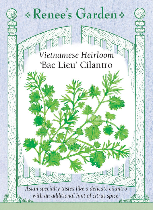 Vietnamese Heirloom - Bac Lieu Cilantro