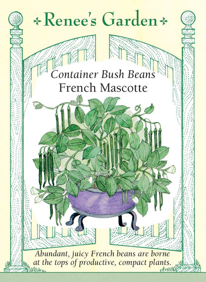 Container Bush Beans - French Mascotte