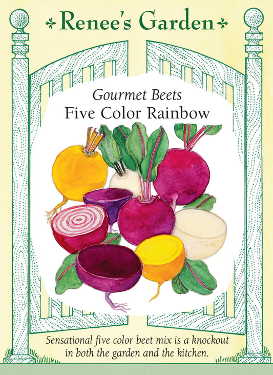 Gourmet Beets - Five Color Rainbow