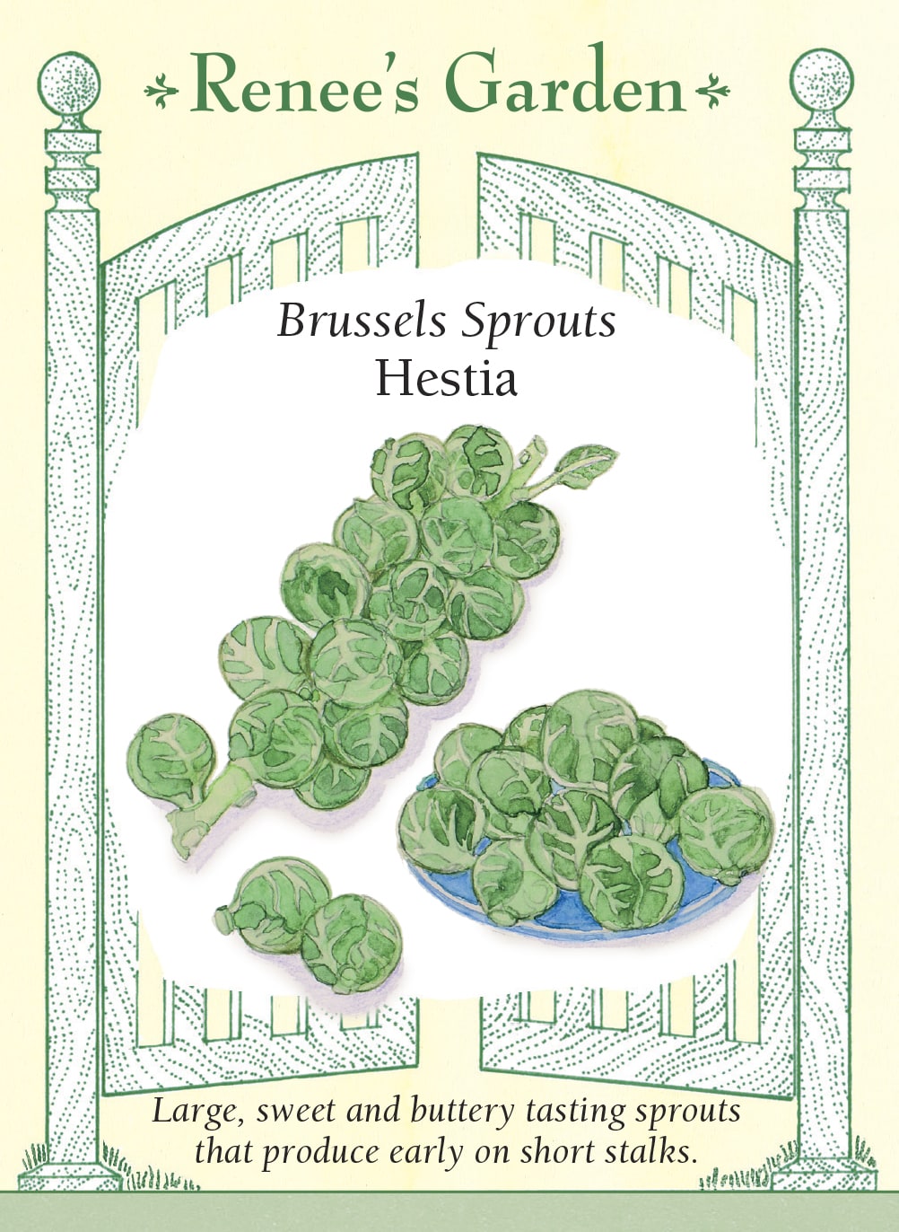 Brussels Sprouts - Hestia