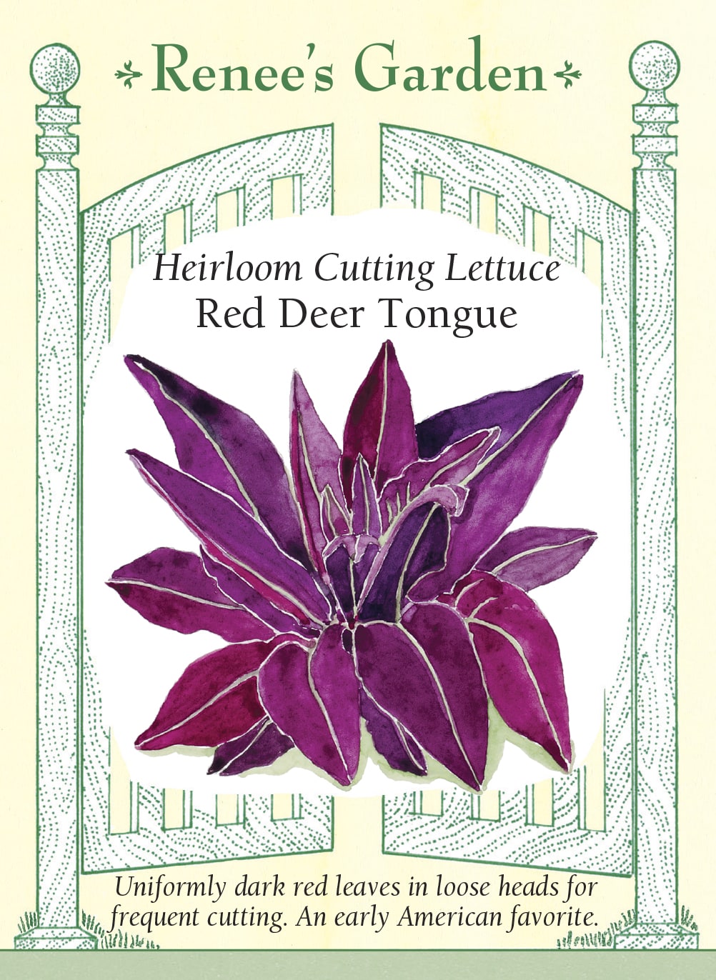 Heirloom Cutting Lettuce - Red Deer Tongue