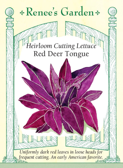 Heirloom Cutting Lettuce - Red Deer Tongue