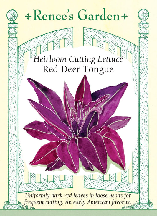 Heirloom Cutting Lettuce - Red Deer Tongue