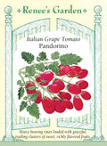 Italian Grape Tomato - Pandorino
