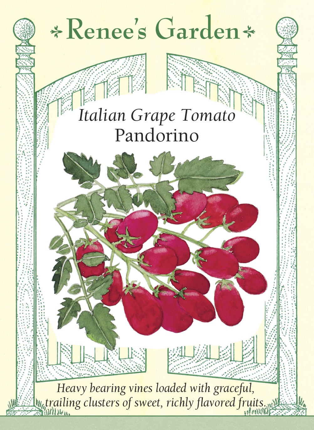 Italian Grape Tomato - Pandorino