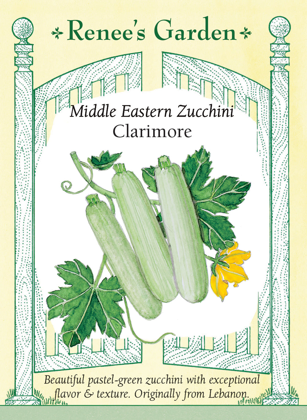 Middle Eastern Zucchini - Clarimore