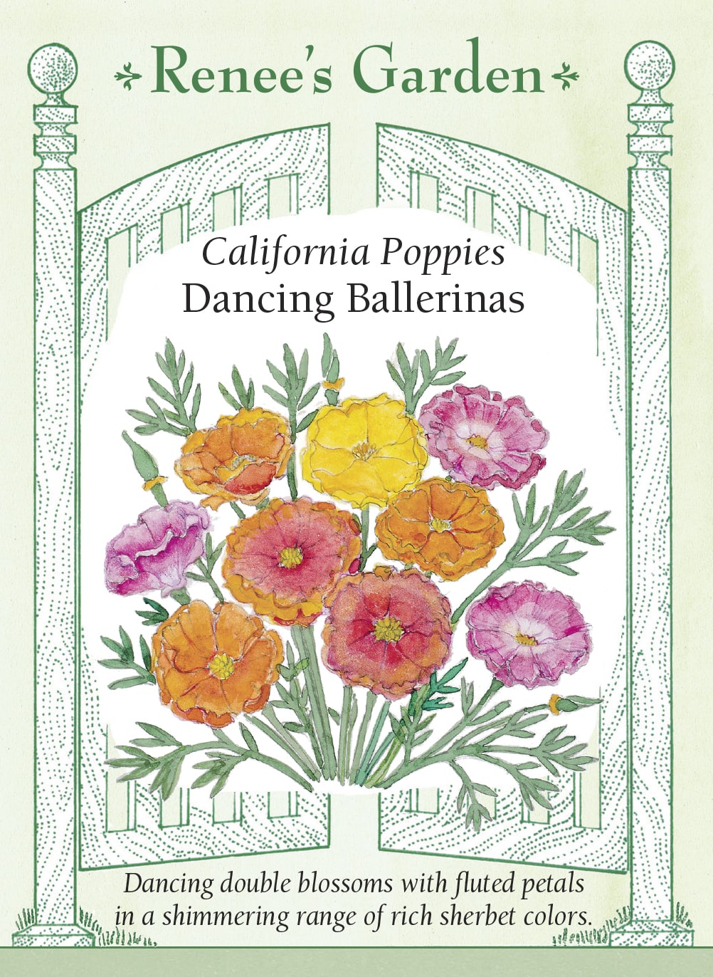 Hand-Picked Seed Bundle - Early Spring Flowers