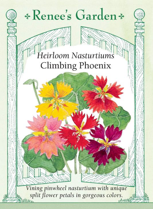Heirloom Nasturtiums - Climbing Phoenix