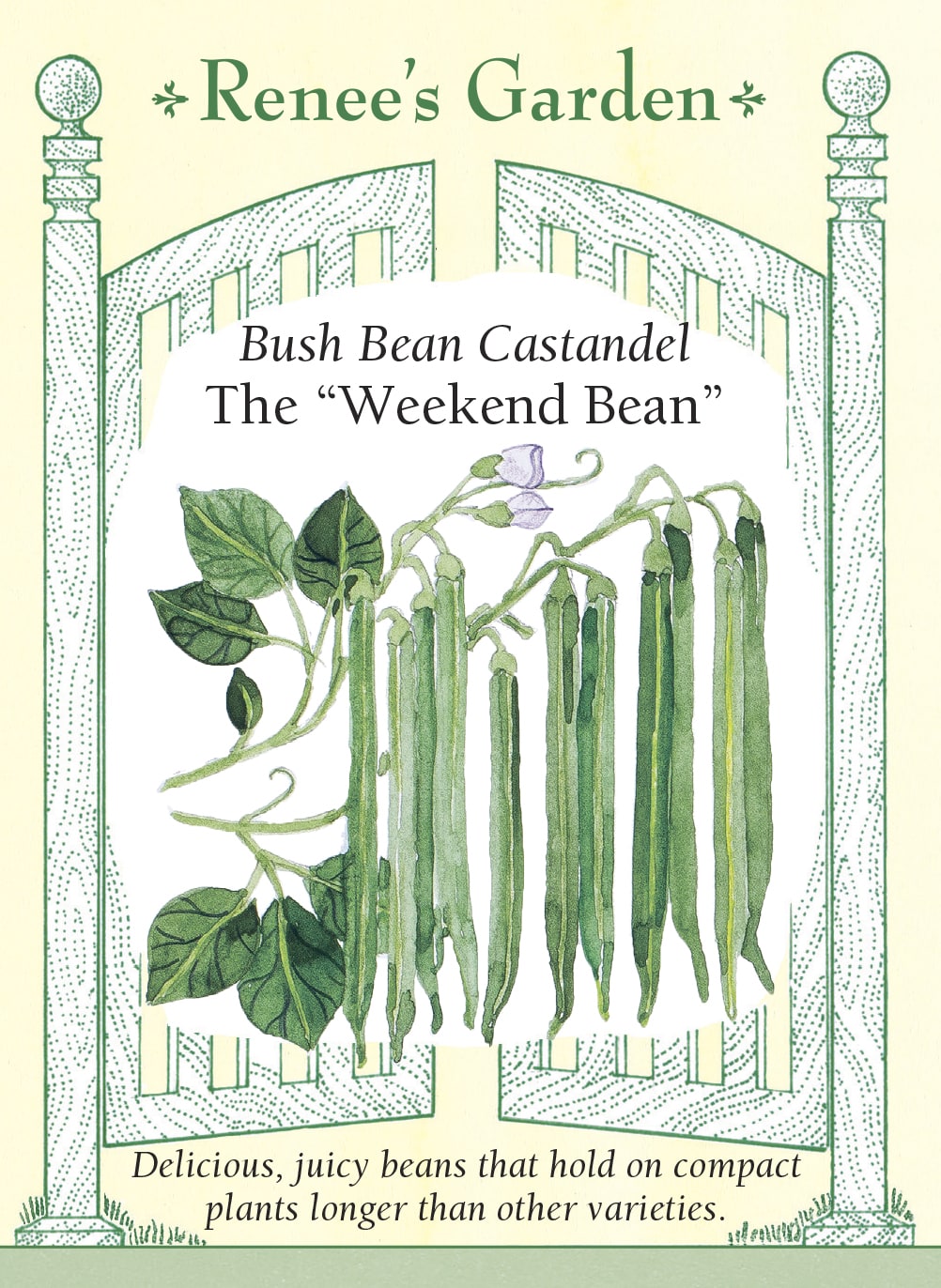 Bush Bean Castandel - The "Weekend Bean"