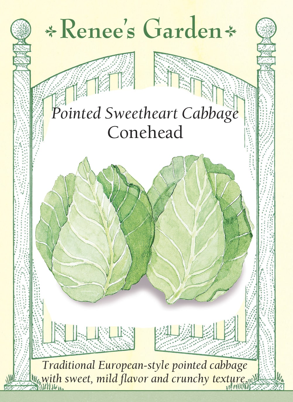 Pointed Sweetheart Cabbage - Conehead
