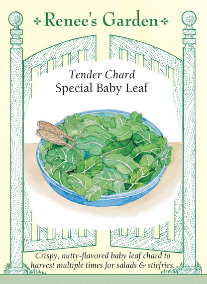 Tender Chard - Special Baby Leaf