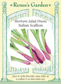 Heirloom Salad Onions - Italian Scallion
