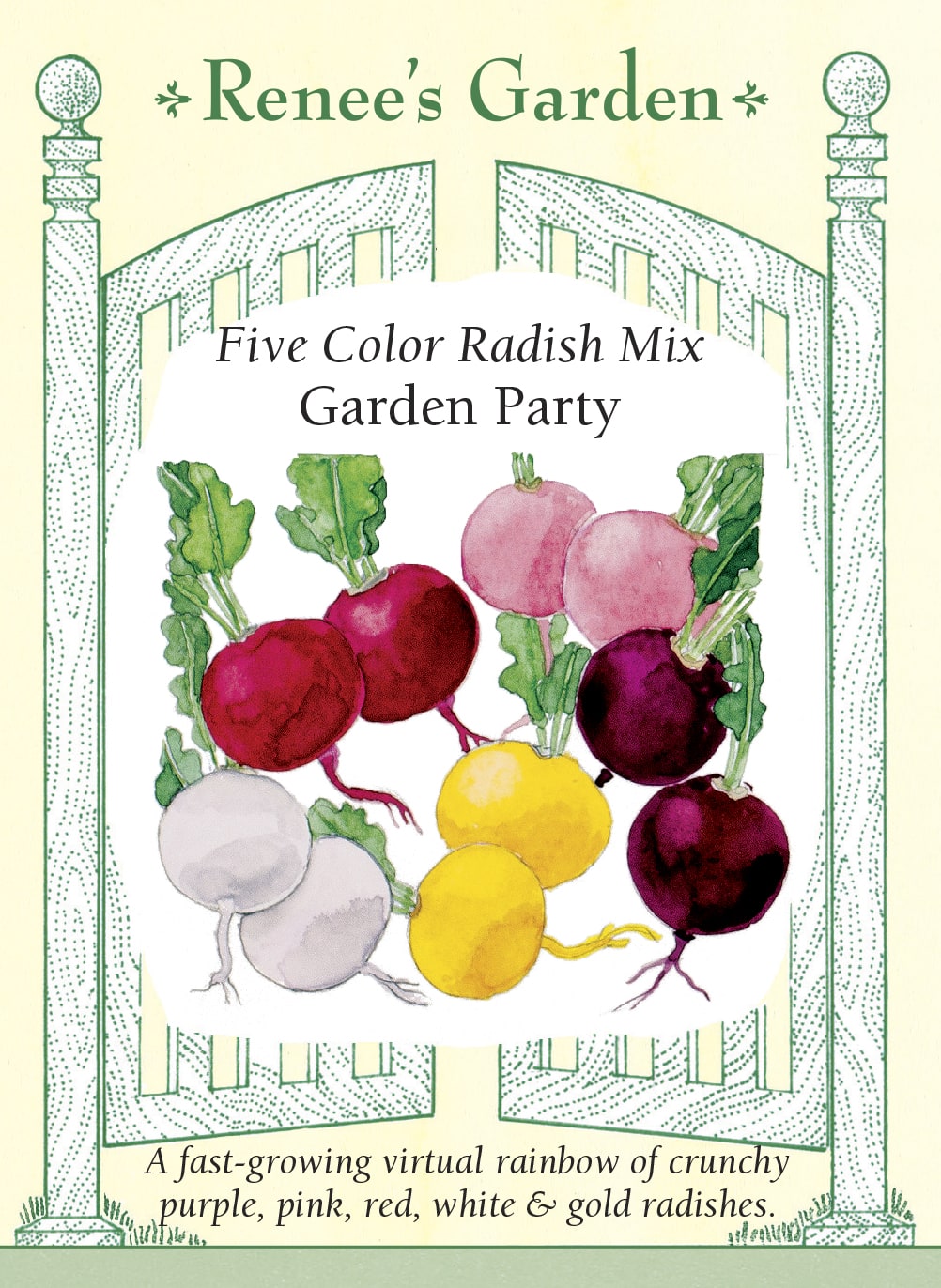 Five Color Radish Mix - Garden Party